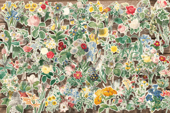 Download Vintage Fussy Cut Flowers - Fussy cut Collection