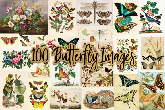 Download 100 Vintage Victorian Butterfly Ephemera - Victorian Collection